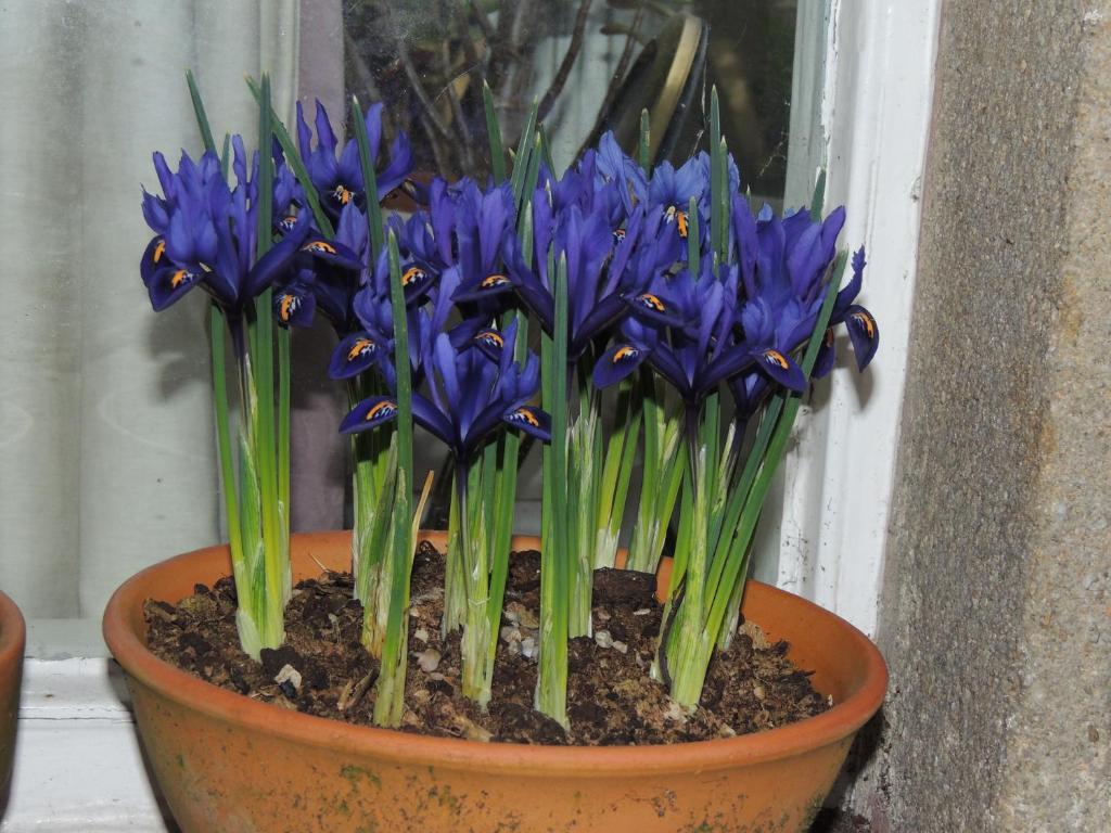 Spring Lodge Harrogate Luaran gambar